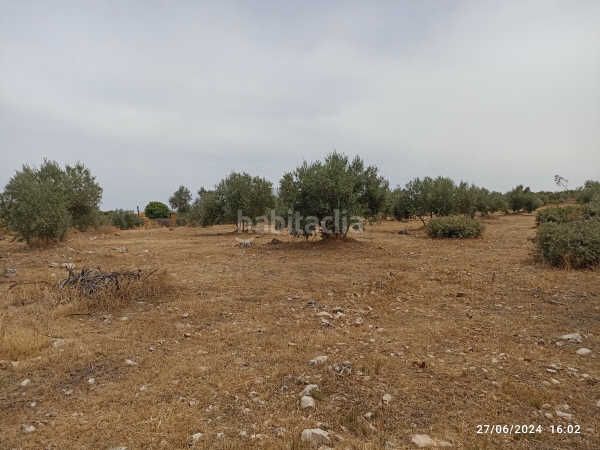 Foto ac776c88-67d6-411d-a9f9-85acb8372f28. Finca rústica a Castellar