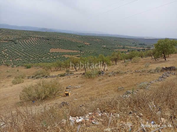Foto b5e6b92d-6bca-49ad-a1fc-e489ced152cd. Finca rústica a Castellar