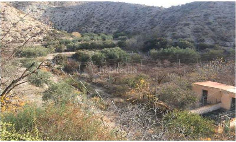 Foto 335c7fb9-d35e-4ba5-977b-0f99eda598dc. Finca rústica finca de regadío con casa-cueva. en Santa Cruz de Marchena