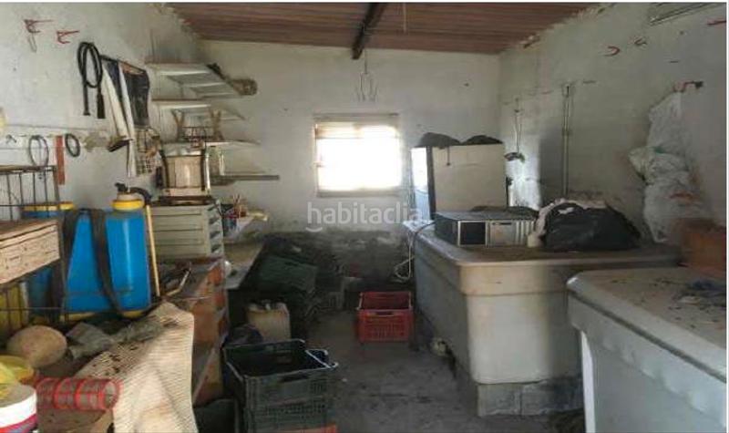 Foto 4c398b4f-3799-4dd2-ad31-d7c2e1b5a30f. Finca rústica finca de regadío con casa-cueva. en Santa Cruz de Marchena