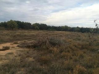 Rural plot in Belchite
