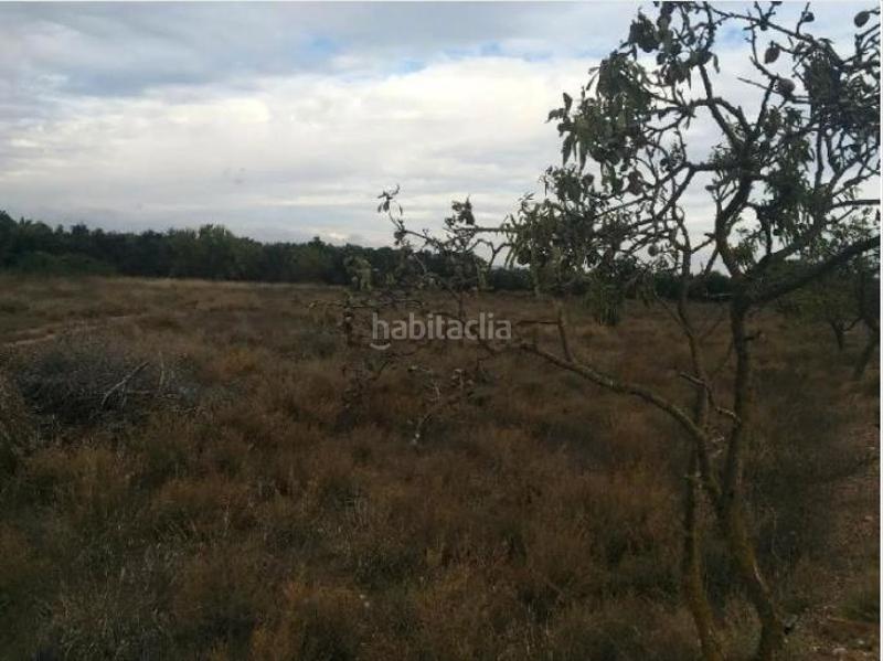 Foto f3440c72-dad5-4507-ac9f-4994fc1d9214. Finca rústica en Belchite