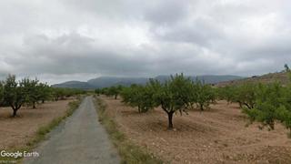 Finca rústica a N/a. V14730 finca de almendros opción vivienda