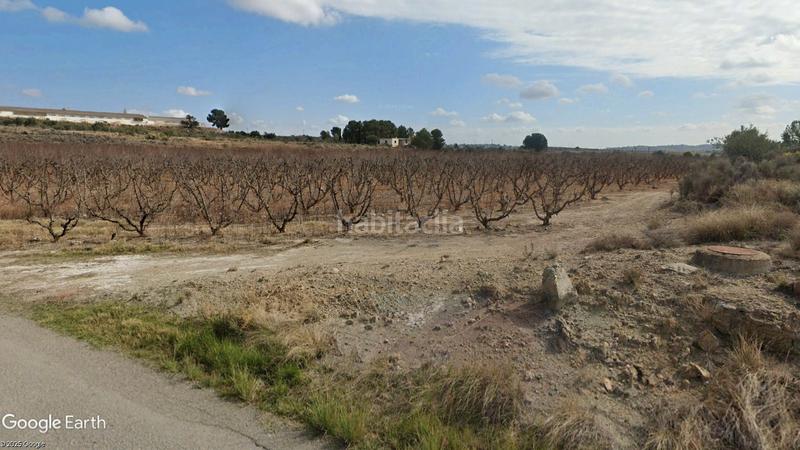 Foto 1cf91ecc-53a8-4f05-9b52-0259d5c68e0b. Finca rústica a n/a a Turís