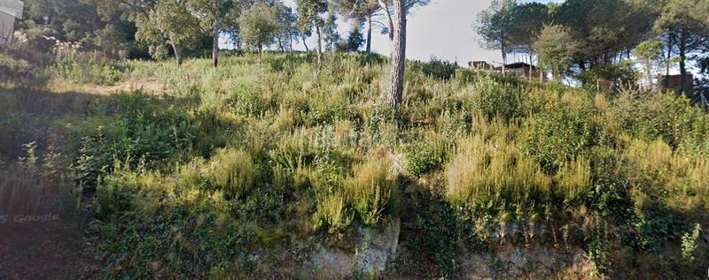 Foto 1b576cca-da68-4556-85ec-5822540ce403. Terrain résidentiel dans Montbarbat Maçanet de la Selva