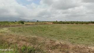 Propriété à N/a. V14492 finca regadio opción vivienda