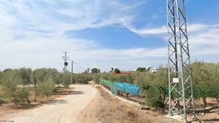Propriété à Arahal. Olivar de regadío, pozo propio con edificaciones.