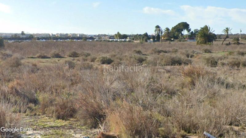 Foto 44d358a6-c24f-48dd-b652-311085ff8b16. Finca rústica a paraje agua amarga 27 a El Altet Elche / Elx