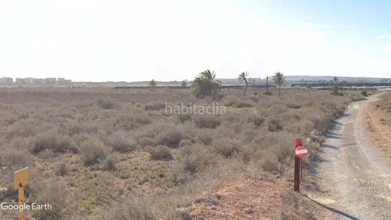 Foto 95a357fa-c61c-465f-a95e-1da0c1480776. Finca rústica a paraje agua amarga 27 a El Altet Elche / Elx