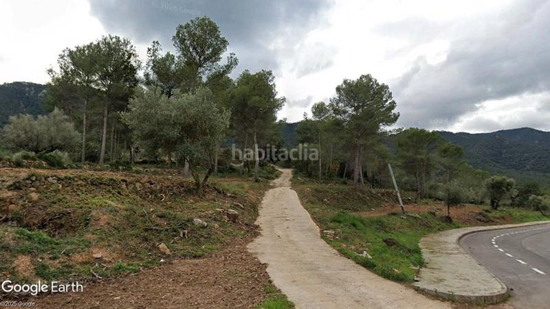 Foto 61dd5440-6ce8-47de-bdbb-9884e560b2da. Finca rústica olivar para recreo, consumo propio. en Artana