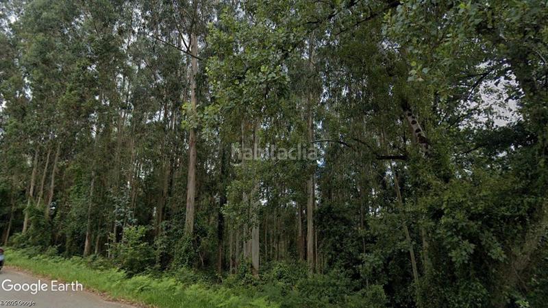 Foto 61402ac3-4ef4-4975-97a6-2e5432af470e. Finca rústica a Colunga