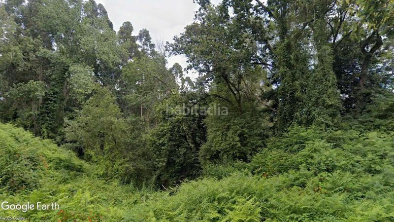 Foto a336a002-941e-4f2b-8bbb-34002d70598b. Finca rústica a Colunga