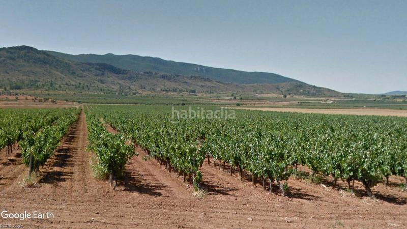 Foto 52c20659-f046-4672-9dba-55dd625edb8c. Rural plot in diseminado diseminados 1142 in Yecla