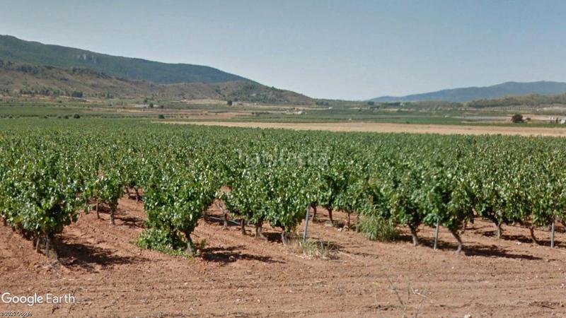 Foto 96ff1d9e-52a3-47e7-b788-1e05e4e943cc. Rural plot in diseminado diseminados 1142 in Yecla