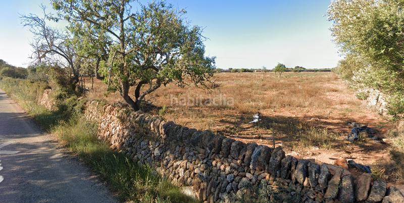 Foto 4692c557-7f0c-44bd-99e8-3531fca905cf. Finca rústica a Cala Pi-Vallgornera Llucmajor