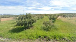 Finca rústica a Guadahortuna. Finca de olivos con buen acceso