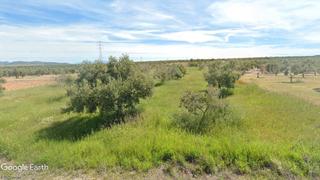 Fondo rustico in Guadahortuna. Olivar de regadío con pozo propio, balsa y caseta de aperos, muy
