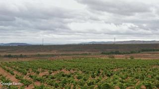 Finca rústica a Calle barrio nuevo 2. Finca de viñedo secano