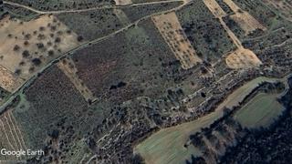 Finca rústica a Covarrubias. Terreno de frutales abandonados, para recreo