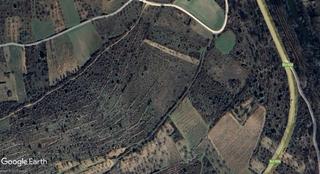 Finca rústica a Covarrubias. Viñedo abandonado, parcela para recreo