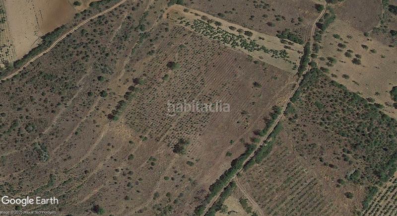 Foto 66d2ac01-ae64-4315-a460-e2ac40235f21. Finca rústica viñedo abandonado, parcela para recreo en Covarrubias