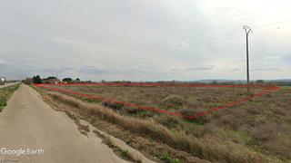 Finca rústica a Osera de Ebro. Huerta de regadío en la ribera del río duero