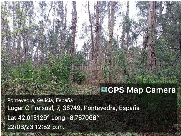 Foto 9c3b21c8-dd15-4dd3-880c-983be939c11d. Finca rústica a Tomiño