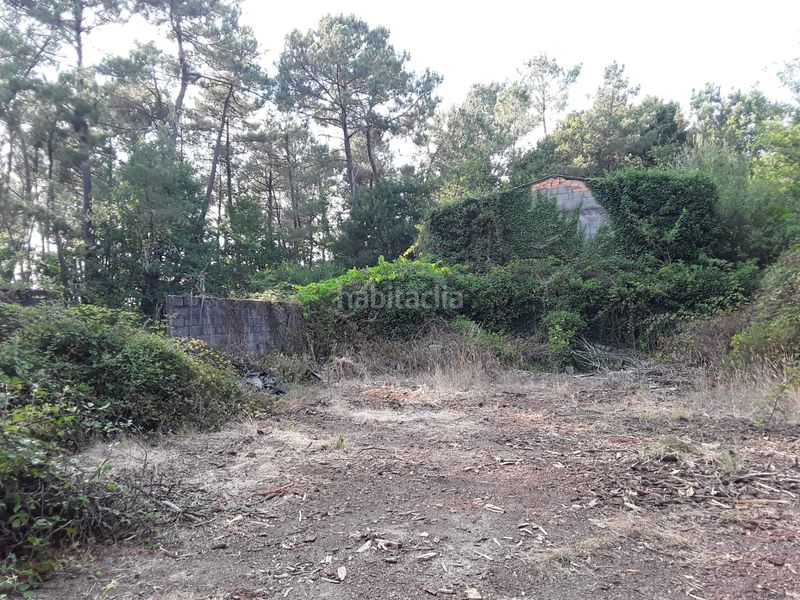 Foto 9f2bdbce-fc51-4bb7-95ba-ea87863eb89d. Finca rústica a Cartelle