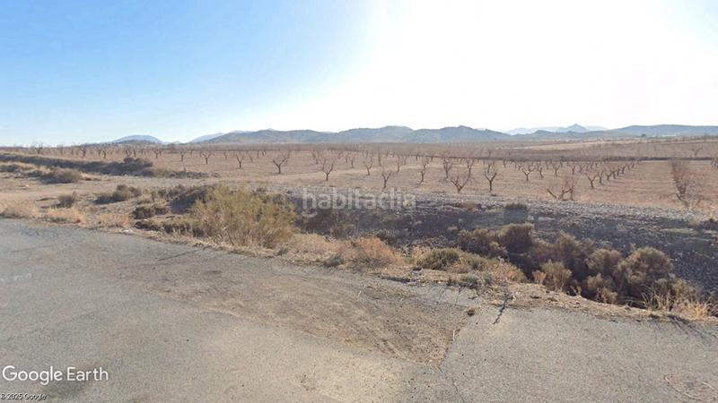 Foto 8ca5a0df-50c4-40ef-b558-334107af35b7. Fondo rustico in Guadix