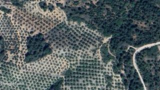 Finca rústica a Puente de Génave. Olivar para consumo propio, opción caseta de aperos, sondeo