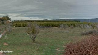 Finca rústica en N/a. V14396 finca regadío con plantación de caquís