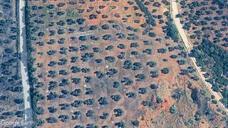 Fondo rustico in Marmolejo. Finca de olivos y zona de extracción de tierras