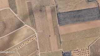 Finca rústica en Membrilla. Parcela de viñas con posibilidad de edificar