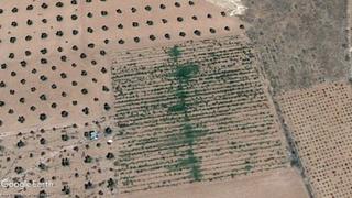 Finca rústica en Membrilla. Terreno de viñas, llano y con posibilidad de edificar