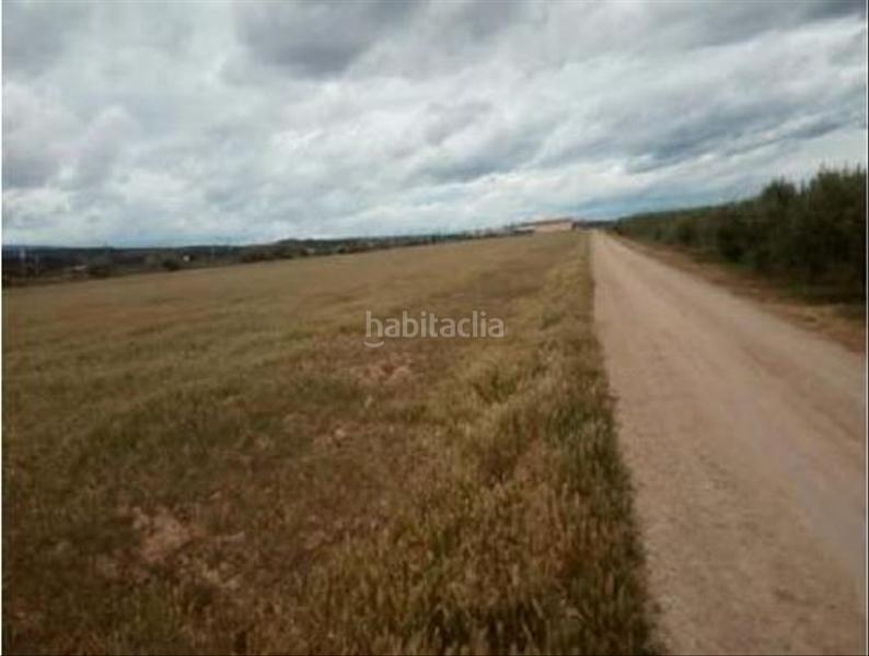 Foto 89e668ba-88bf-4094-a381-8ad864d41508. Finca rústica en Calahorra