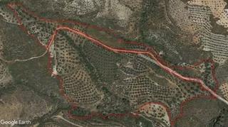 Finca rústica a Albuñuelas. Finca olivos y viñas con cortijo