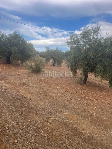 Foto 6337626a-e9a5-4123-8243-6ec2ab7066e0. Finca rústica a Pozoblanco
