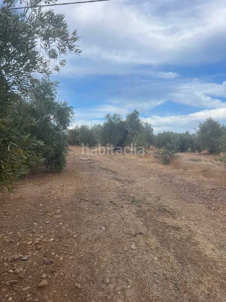 Foto a2ec340c-ee06-41e7-ac7e-0b1f7370d74c. Finca rústica a Pozoblanco
