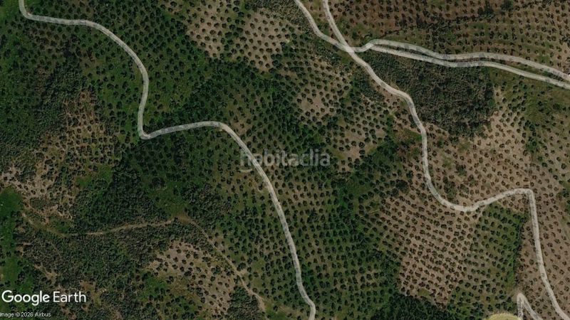 Foto d882628d-0a77-4170-9bb1-40891711740b. Finca rústica a Pozoblanco