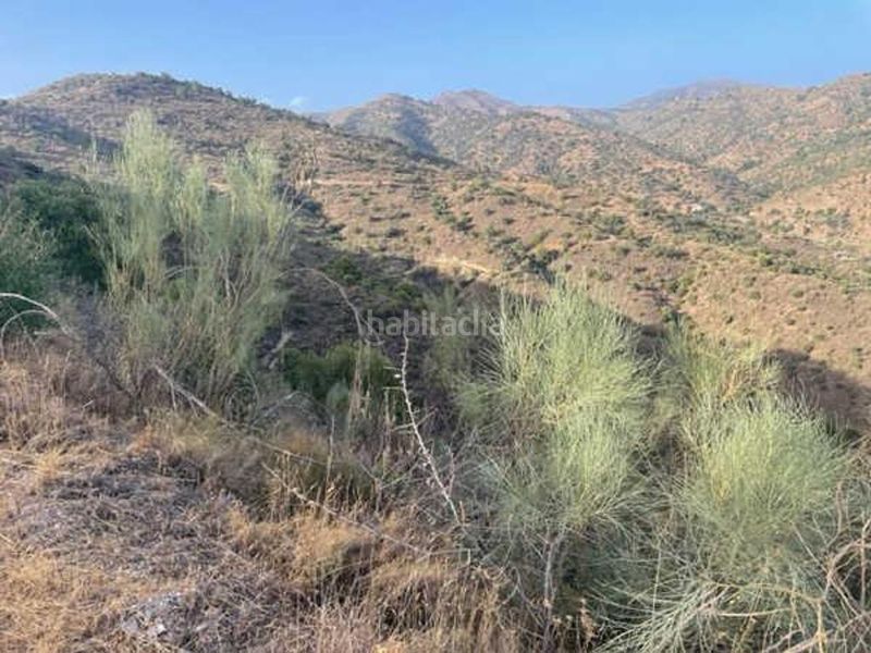 Foto 49730879-2832-43a3-adc0-3da18c85f5bf. Finca rústica a Pinares de San Antón Málaga