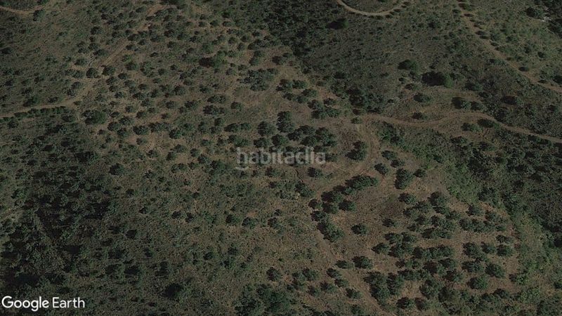 Foto ca122ad6-226f-4994-9730-e834c711b51a. Finca rústica a Pinares de San Antón Málaga