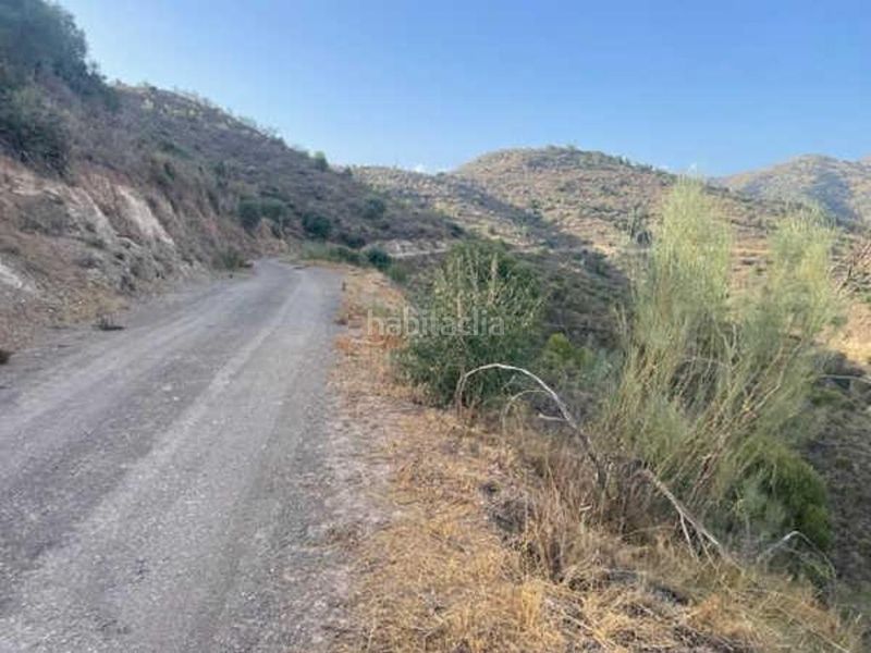 Foto d3ad7b9b-62cc-4fc6-aa85-5bb177ffea8a. Finca rústica a Pinares de San Antón Málaga