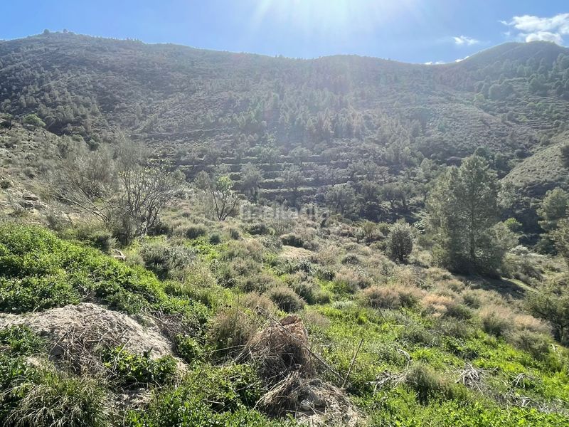 Foto b7bf7dbe-cd3a-4a68-96c4-94cae56bf358. Finca rústica a Almócita