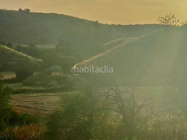 Foto b0586485-5249-4173-bff5-38f3e7959daf. Finca rústica en Driebes
