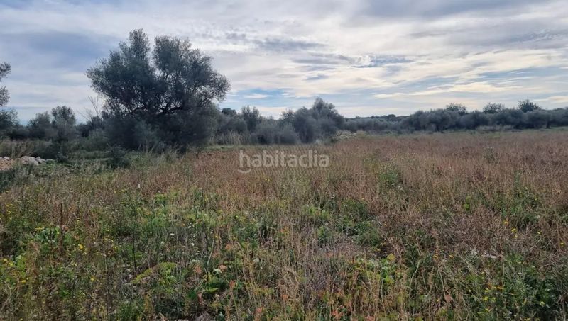 Foto 3fb84613-7f4c-4b26-9225-371272419f8f. Finca rústica a n/a a Traiguera