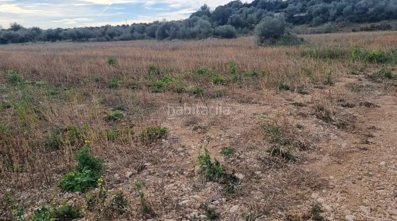 Foto 901612c2-b7e9-4d80-a729-5becc9f2663f. Finca rústica a n/a a Traiguera