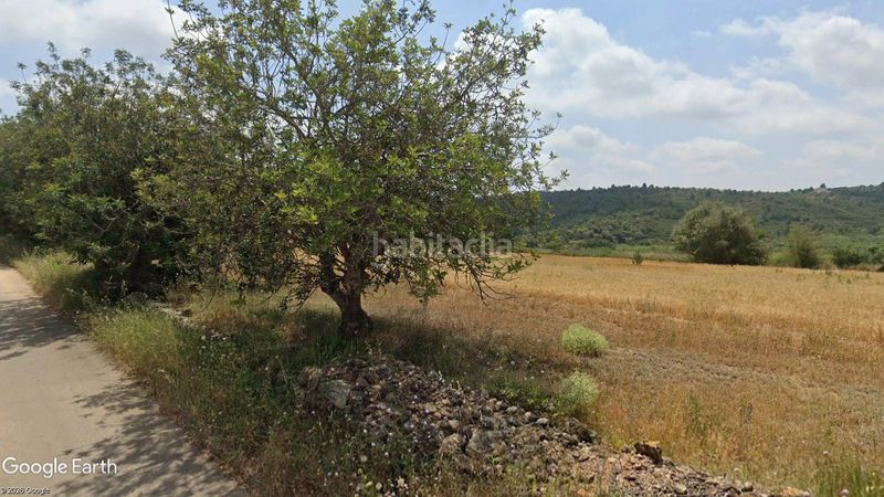 Foto 214d2450-4a9e-4fd2-923e-267e9123f859. Finca rústica a n/a a Traiguera