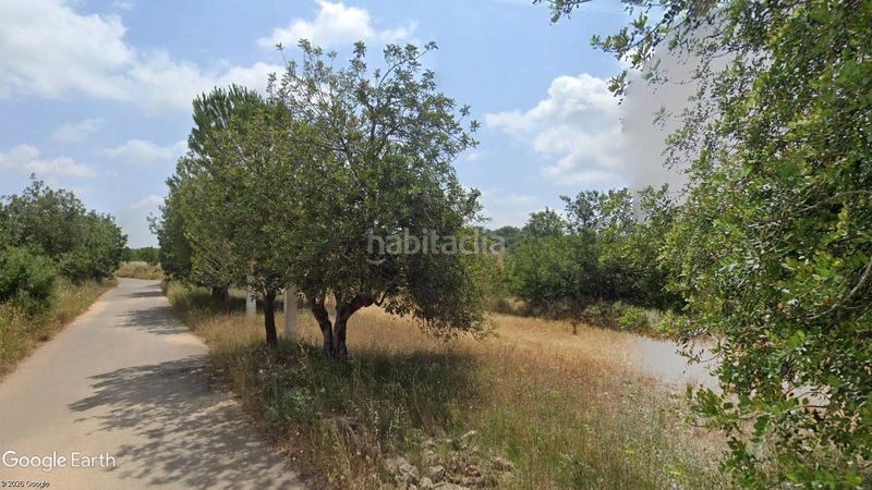 Foto bd0b2697-4c54-4bc5-b29f-c9f6920a0473. Finca rústica a n/a a Traiguera