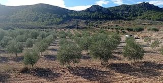 Finca rústica a Diseminado Puntillas 4