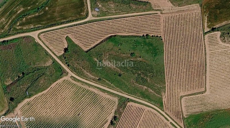 Foto 1cc0a96f-8fe4-4c91-9fb0-175e70dfdd31. Finca rústica a Azofra